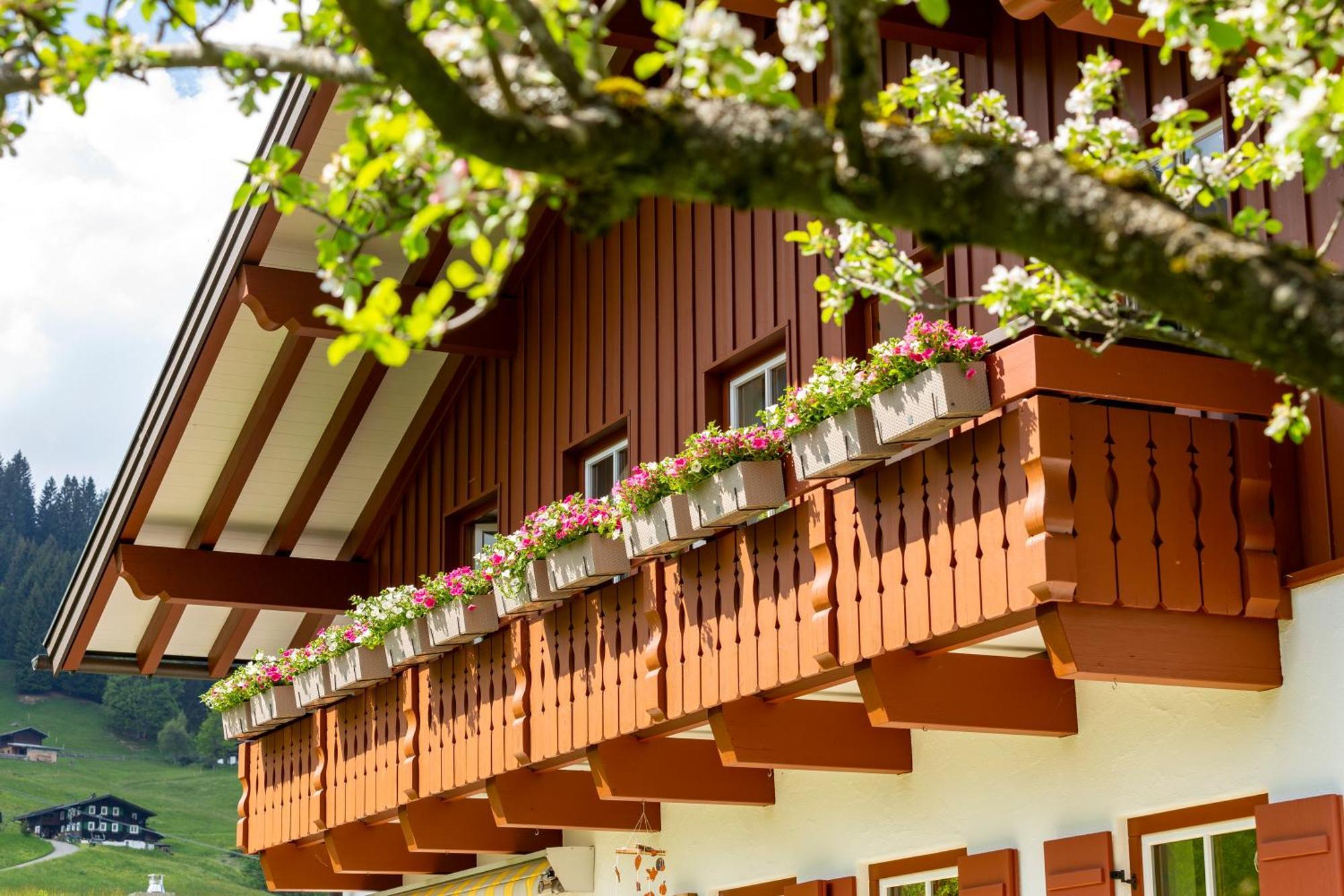 Haus Berg & Tal Apartment Hirschegg  Ngoại thất bức ảnh